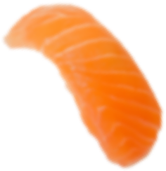 Salmon 1